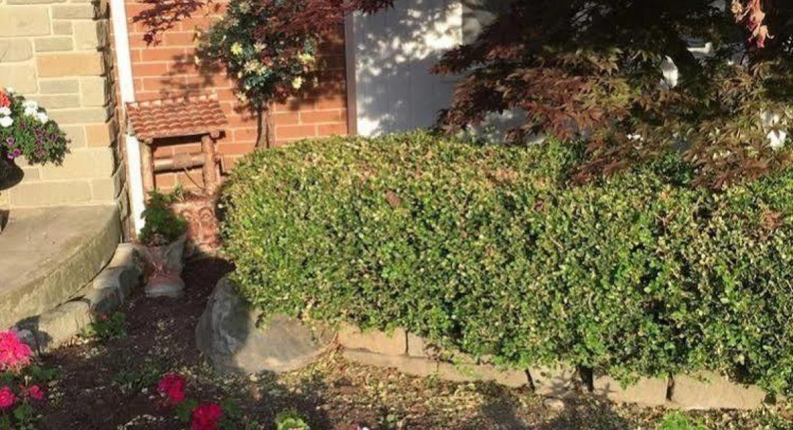 Cobblestone Bed And Breakfast Niagara-on-the-Lake Bagian luar foto